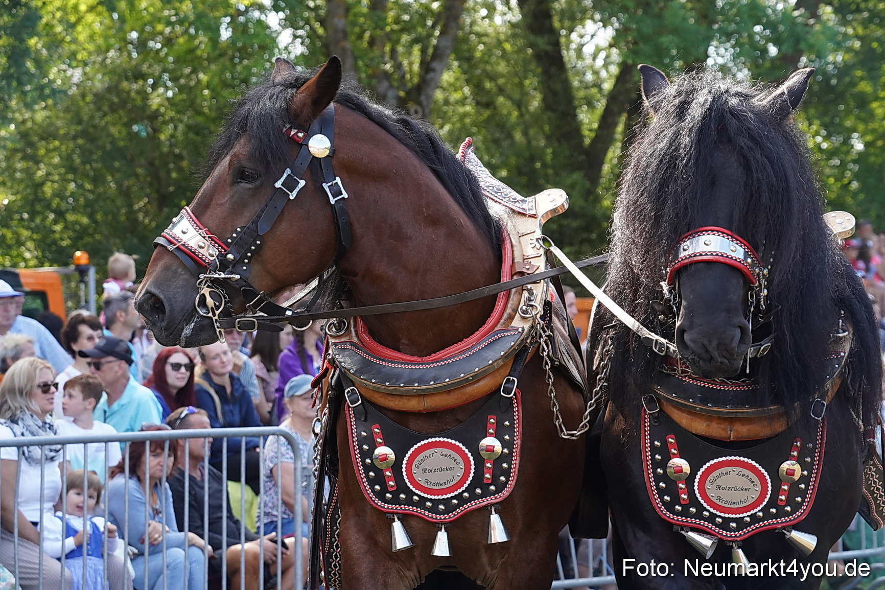 Pferde und Fohlenschau 2022 0192 